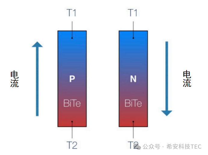 Como funciona o TEC?